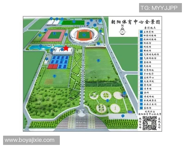 北京羽毛球队在钻石联赛中的战术分析与表现评估