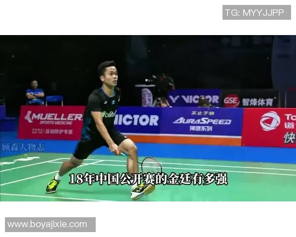 聚焦羽毛球：南京羽毛球队的力量话题